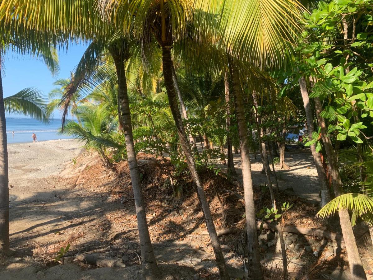 Beach Front Bahia Sámara 外观 照片