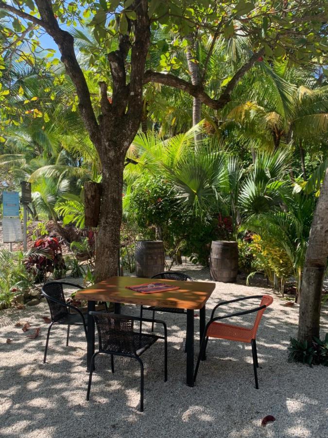 Beach Front Bahia Sámara 外观 照片